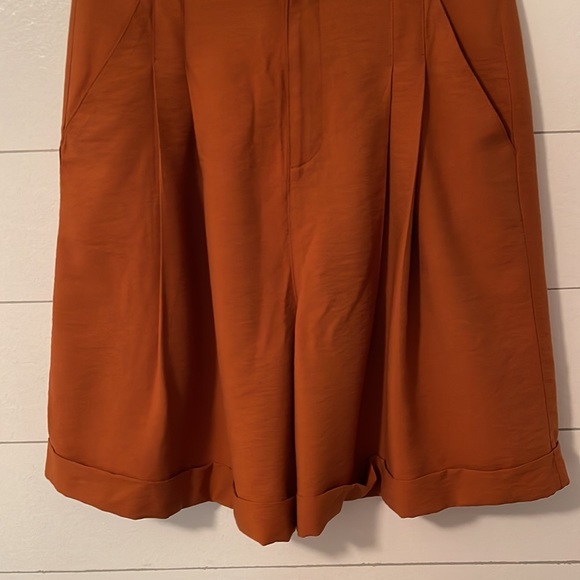 Vtg Cline Kolarek Rust Brown Midi High Waisted Shorts Size 12 - Picture 3 of 8